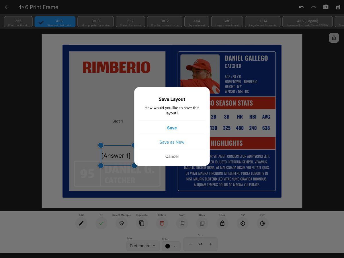 Save Layout dialog with Save and Save as New